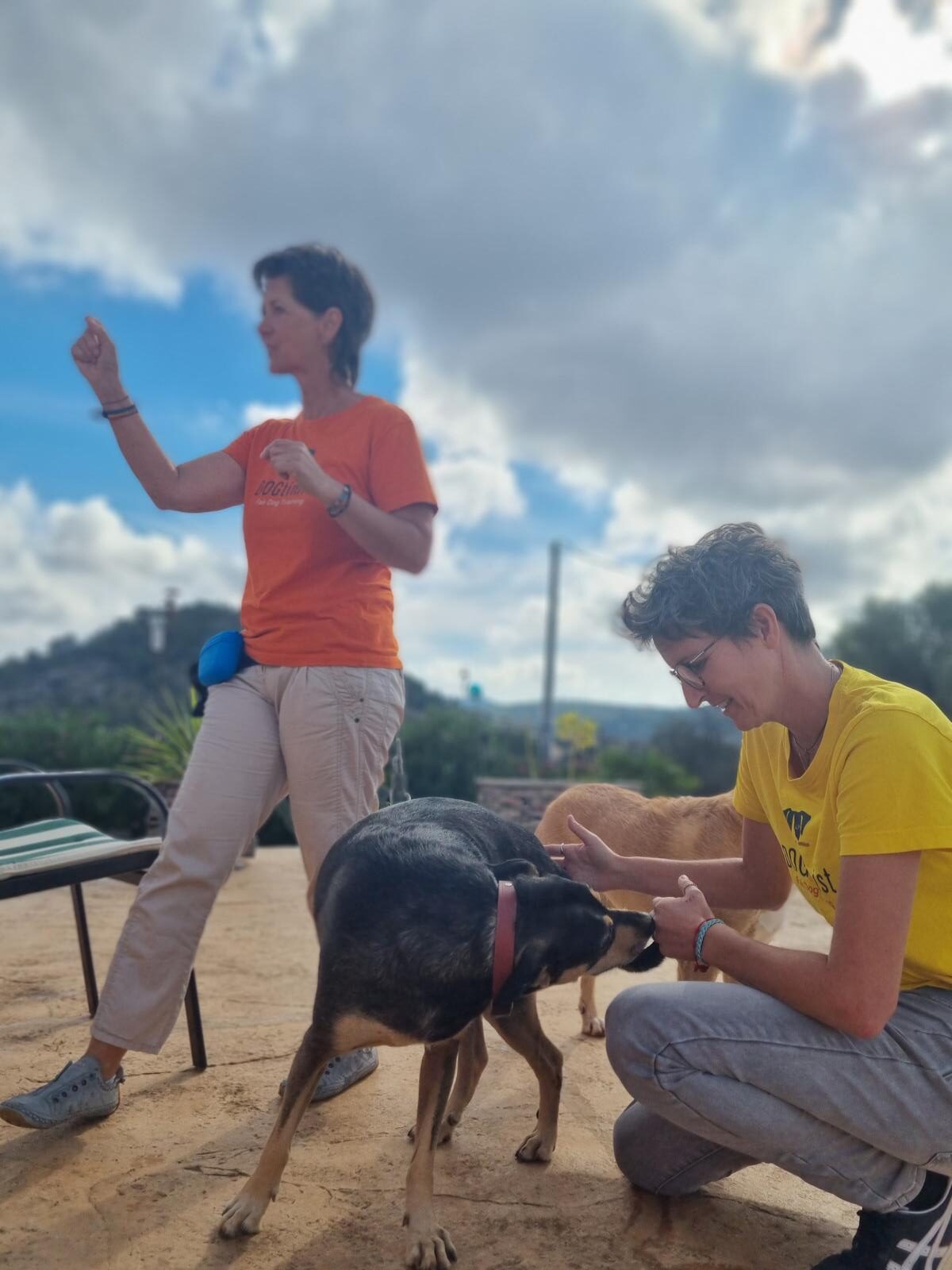 dogtimist-hunde-coaching-mensch