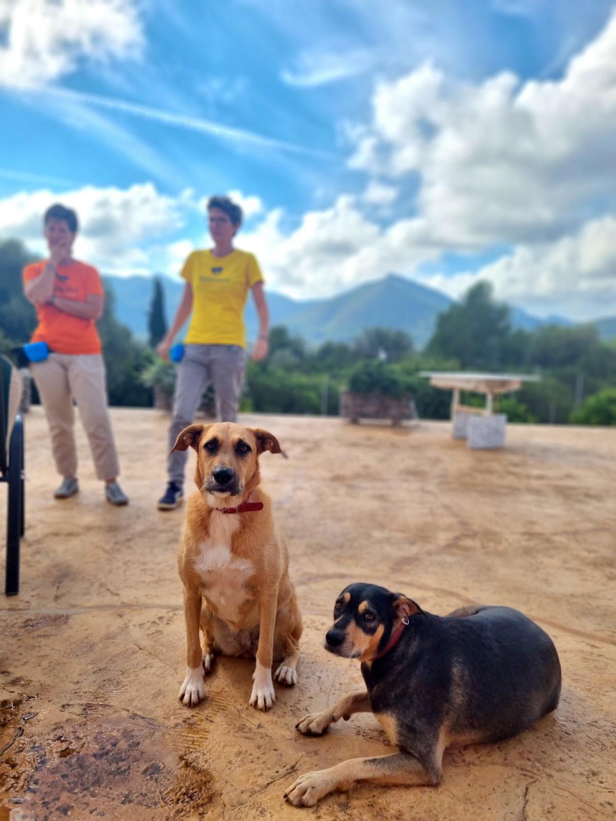 hundetraining-dogtimist-katrin-andrea