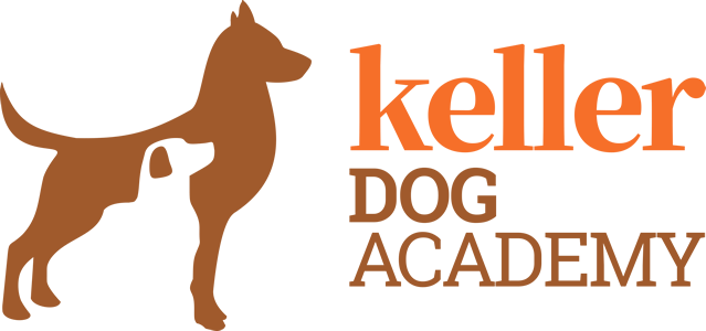 hundebetreuung