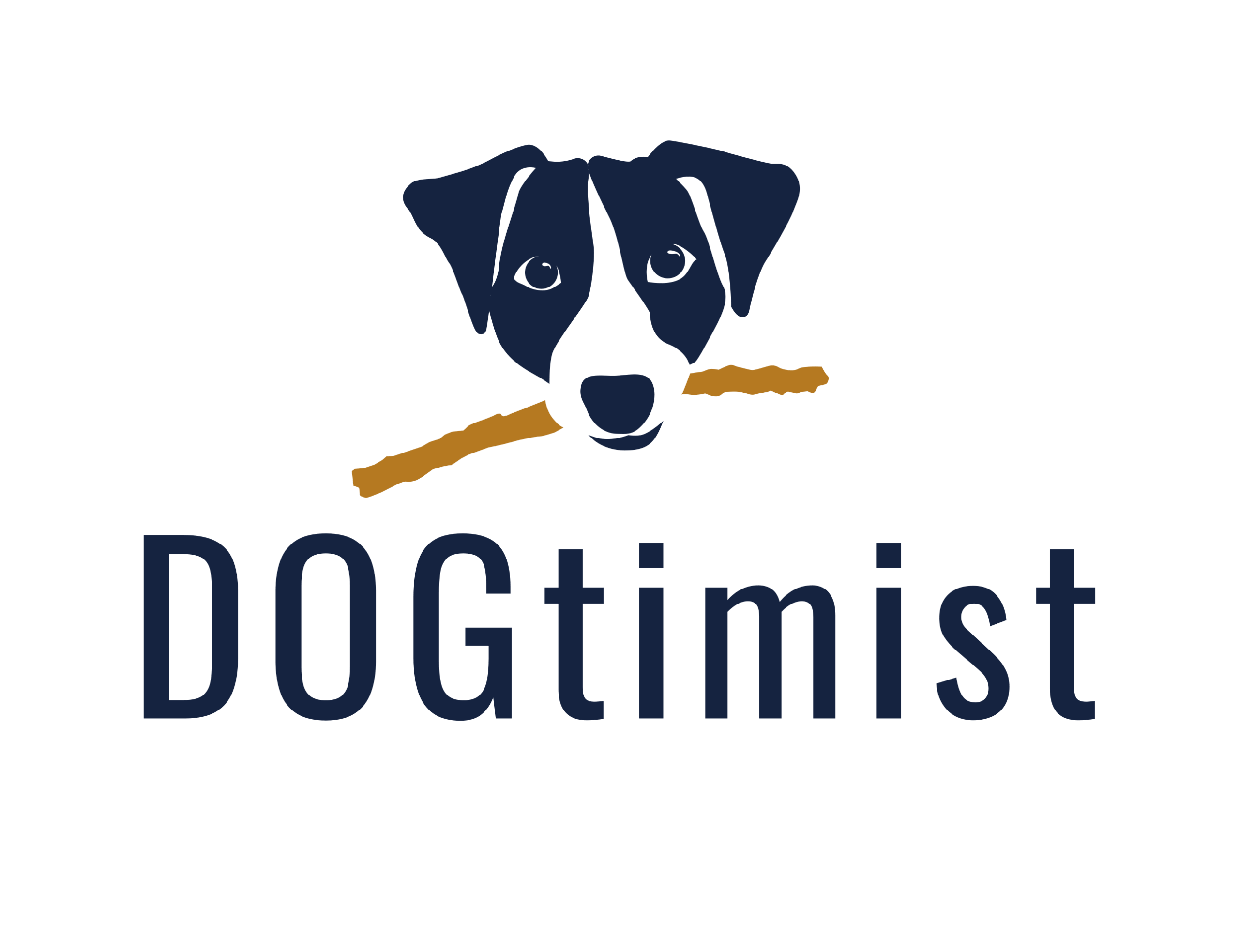 Logo DOGtimist